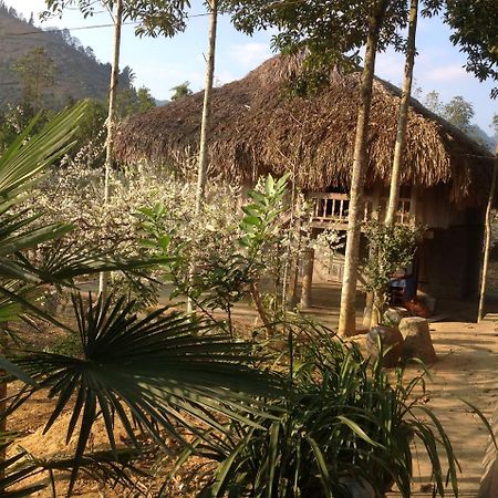 Apartmán Sa House Bac Ha Exteriér fotografie