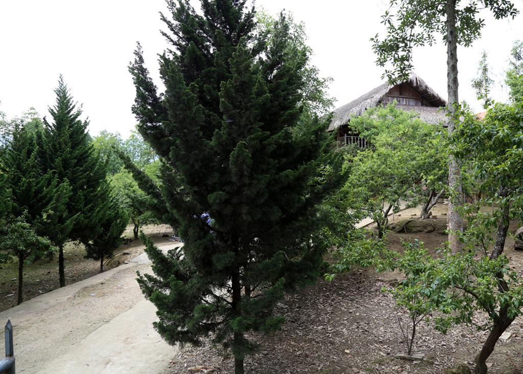 Apartmán Sa House Bac Ha Exteriér fotografie