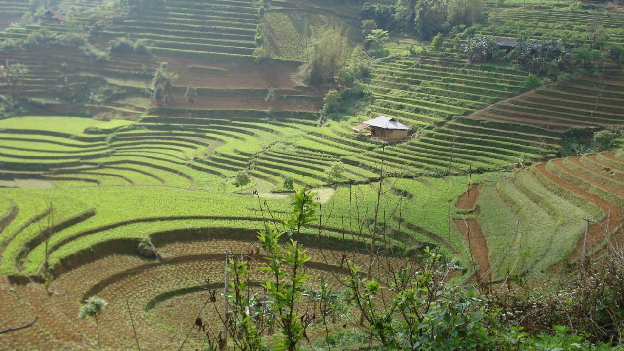 Apartmán Sa House Bac Ha Exteriér fotografie