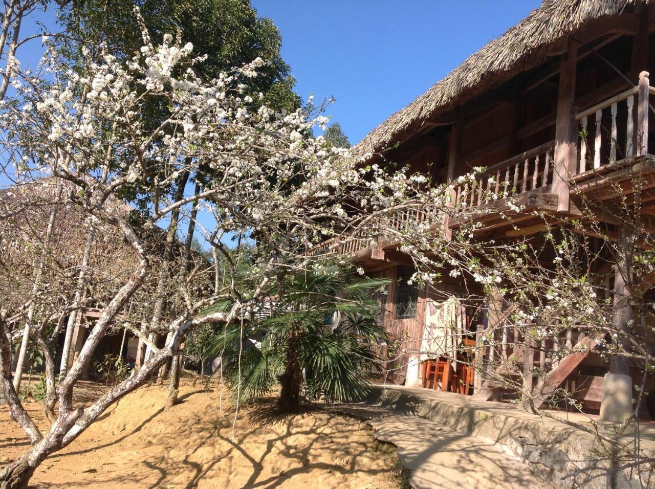 Apartmán Sa House Bac Ha Exteriér fotografie