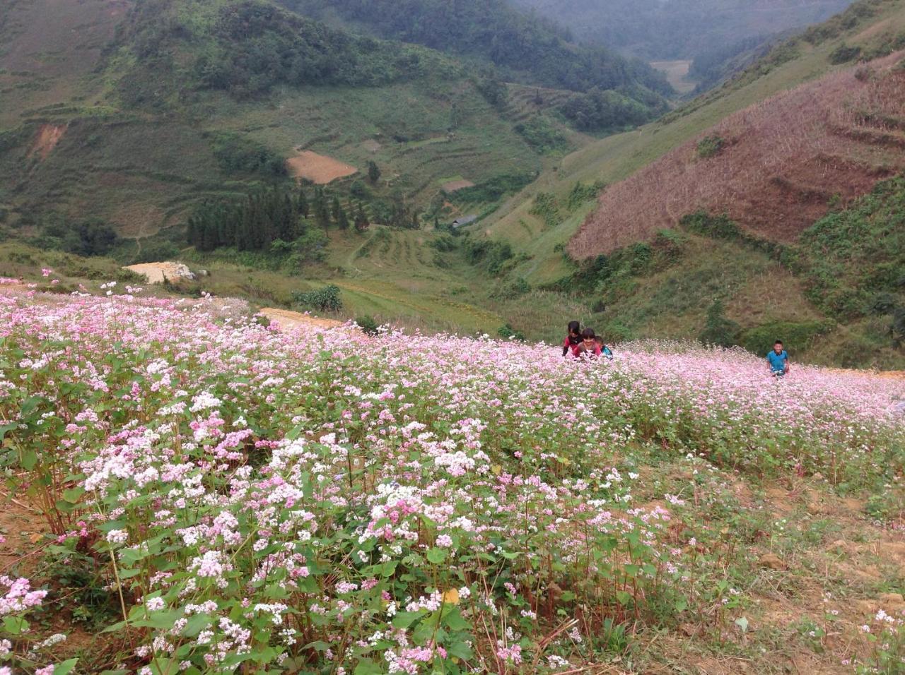 Apartmán Sa House Bac Ha Exteriér fotografie