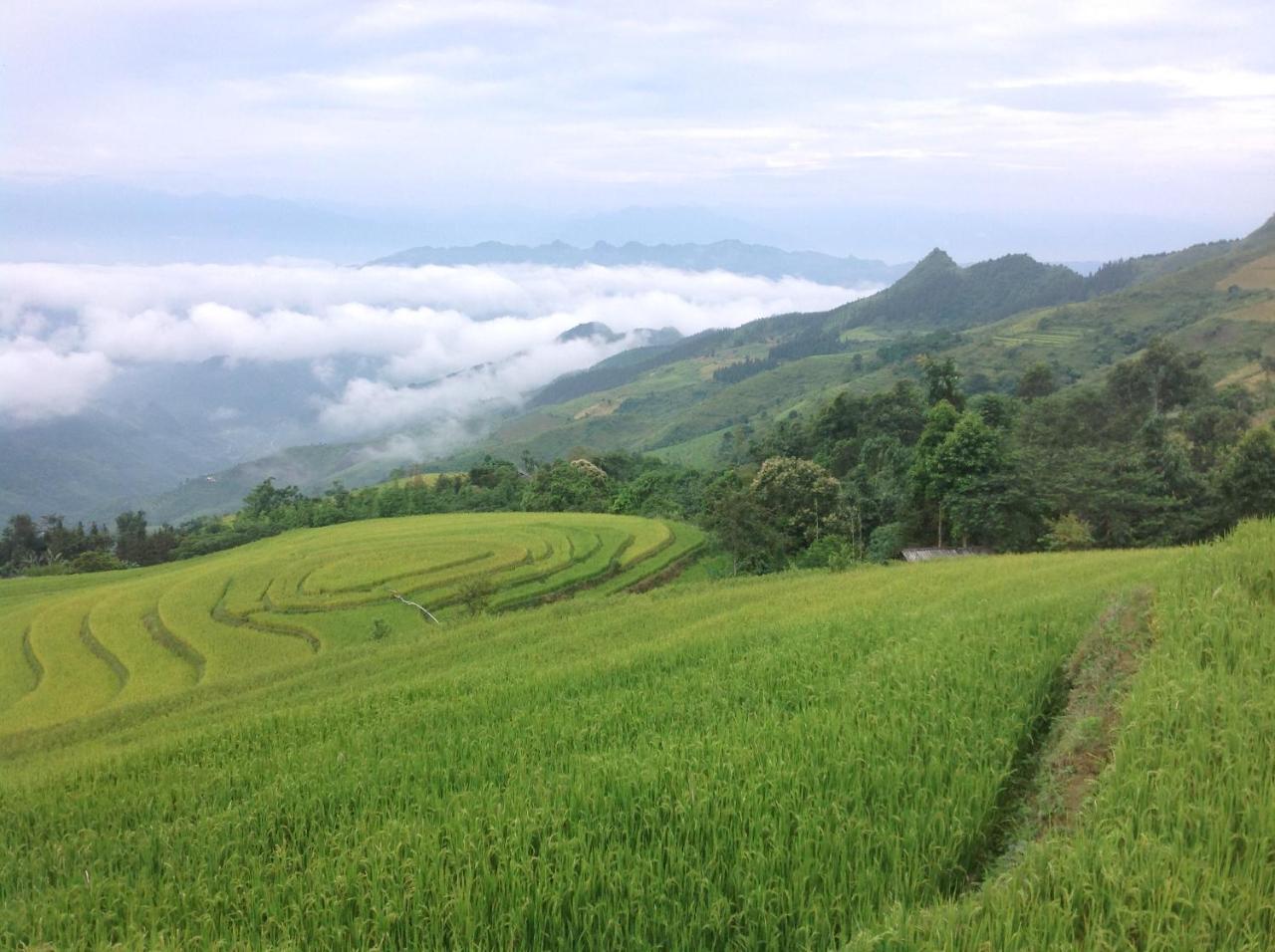 Apartmán Sa House Bac Ha Exteriér fotografie