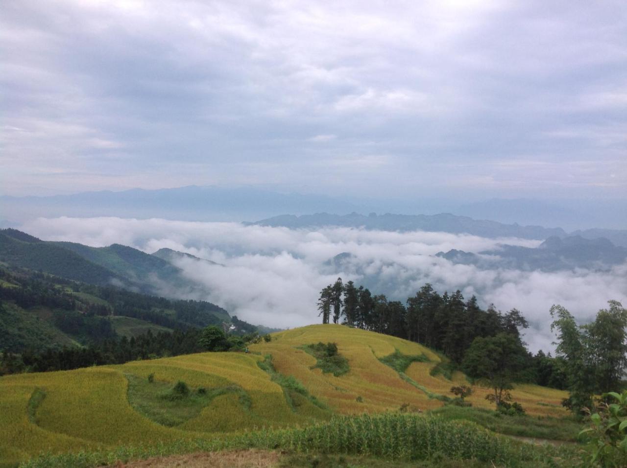 Apartmán Sa House Bac Ha Exteriér fotografie