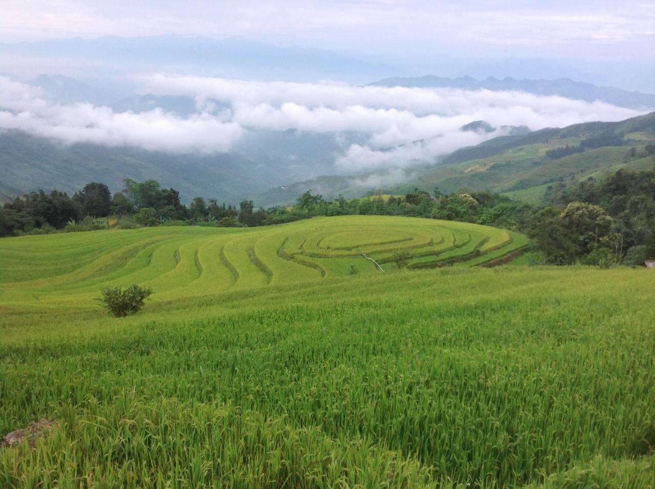 Apartmán Sa House Bac Ha Exteriér fotografie