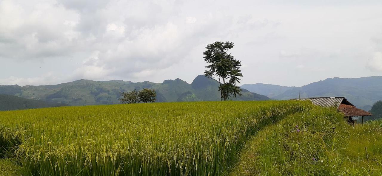 Apartmán Sa House Bac Ha Exteriér fotografie